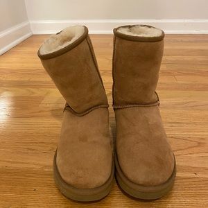 Chestnut medium height Uggs.